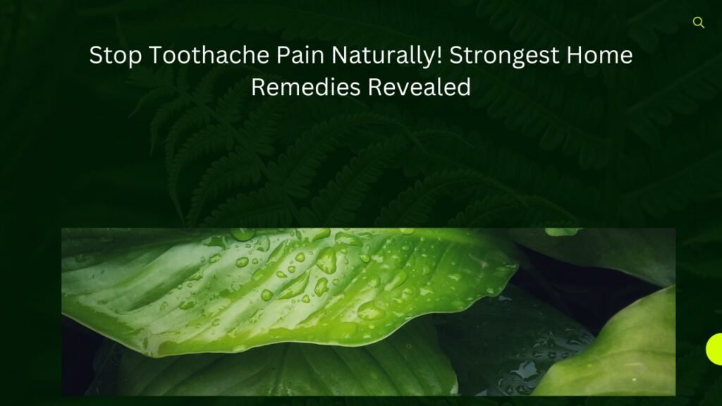 Stop Toothache Pain Naturally! Strongest Home Remedies Revealed 1 Stop Toothache Pain Naturally! Strongest Home Remedies Revealed