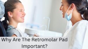Why Are The Retromolar Pad Important?