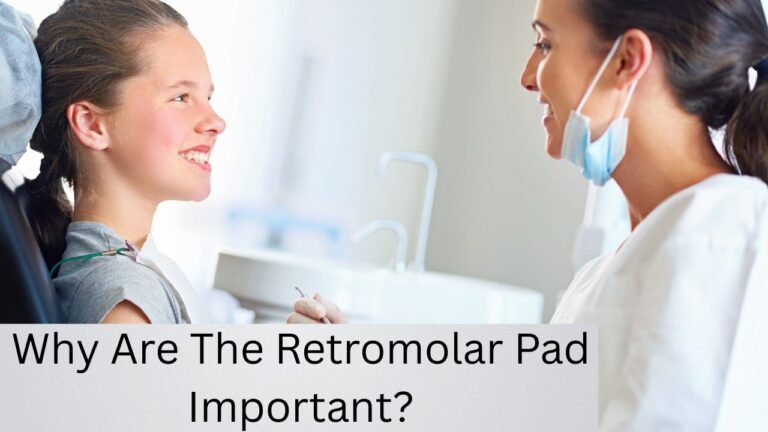 Where Is The Retromolar Trigone Located?