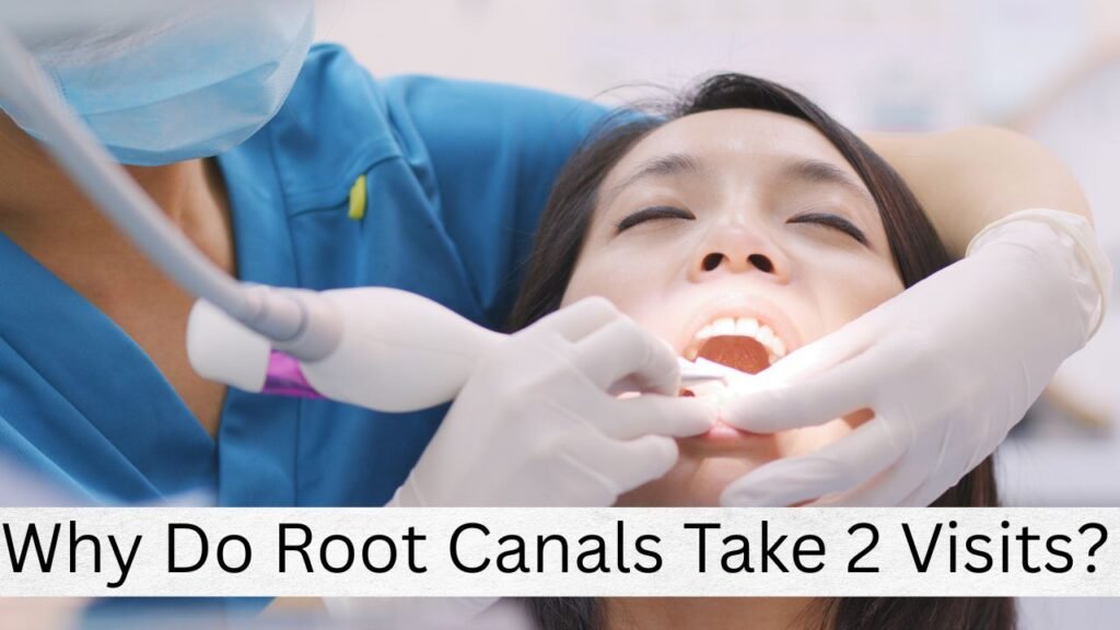 Why Do Root Canals Take 2 Visits Why Do Root Canals Take 2 Visits?