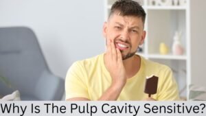 Why Is The Pulp Cavity Sensitive?